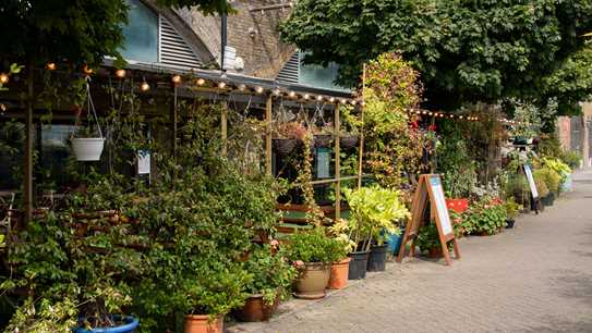 Amora Gusto Exterior 6